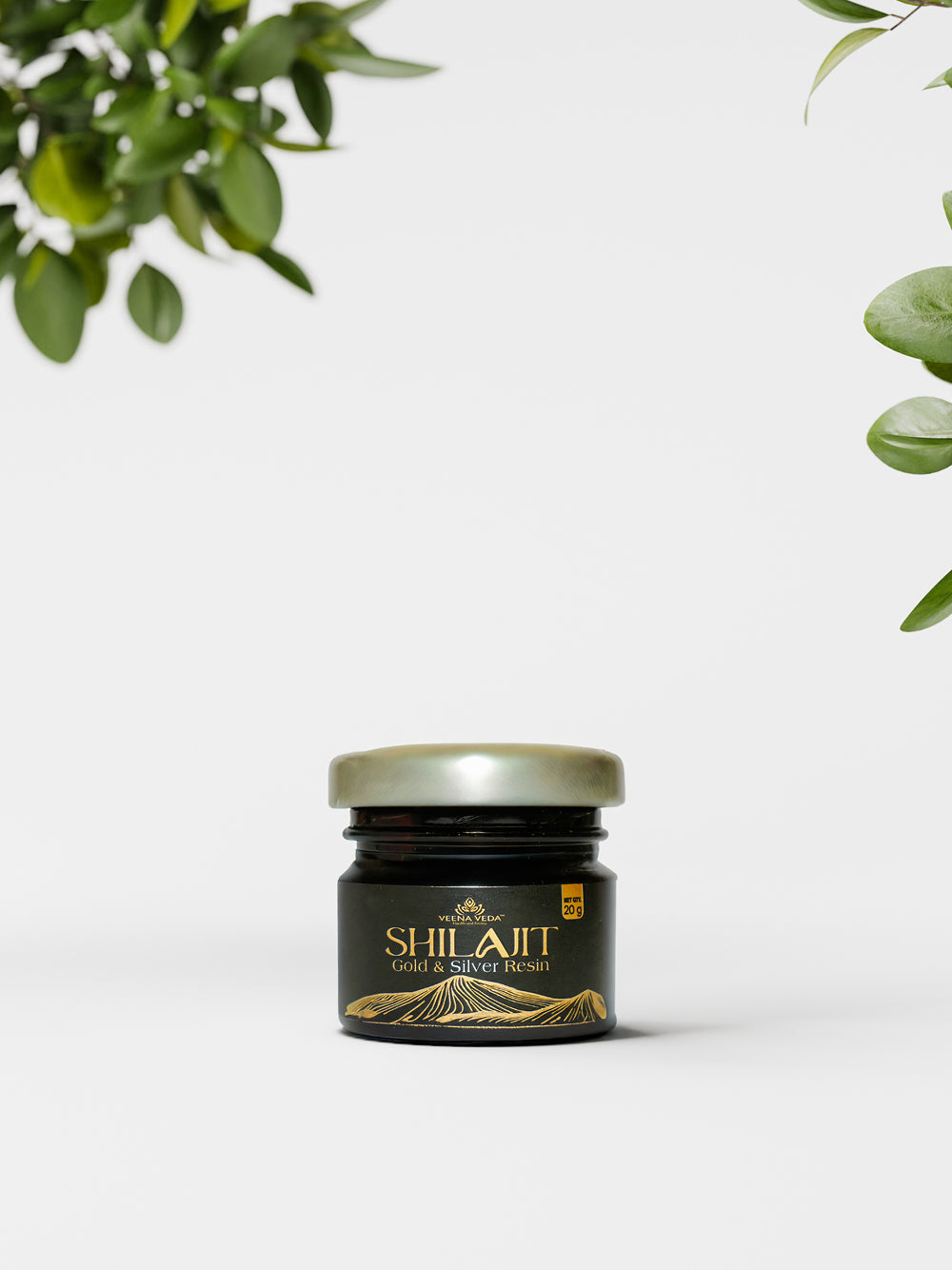 Veena Veda Gold & Silver Shilajit Resin