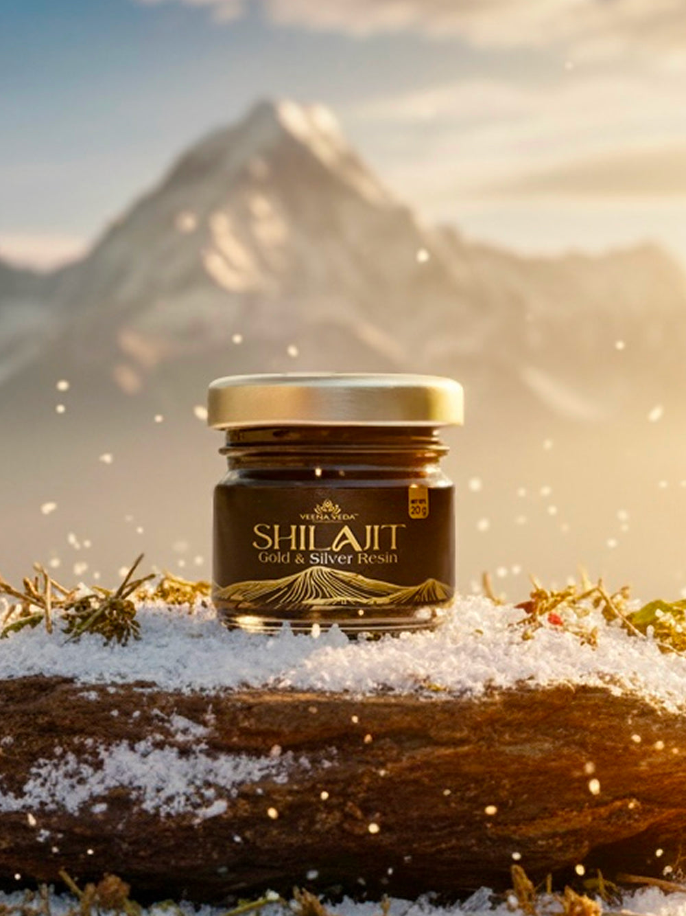 Veena Veda Gold & Silver Shilajit Resin