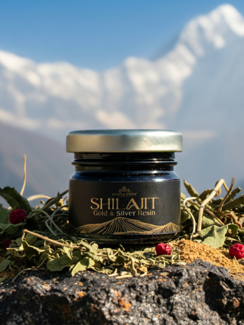 Veena Veda Gold & Silver Shilajit Resin