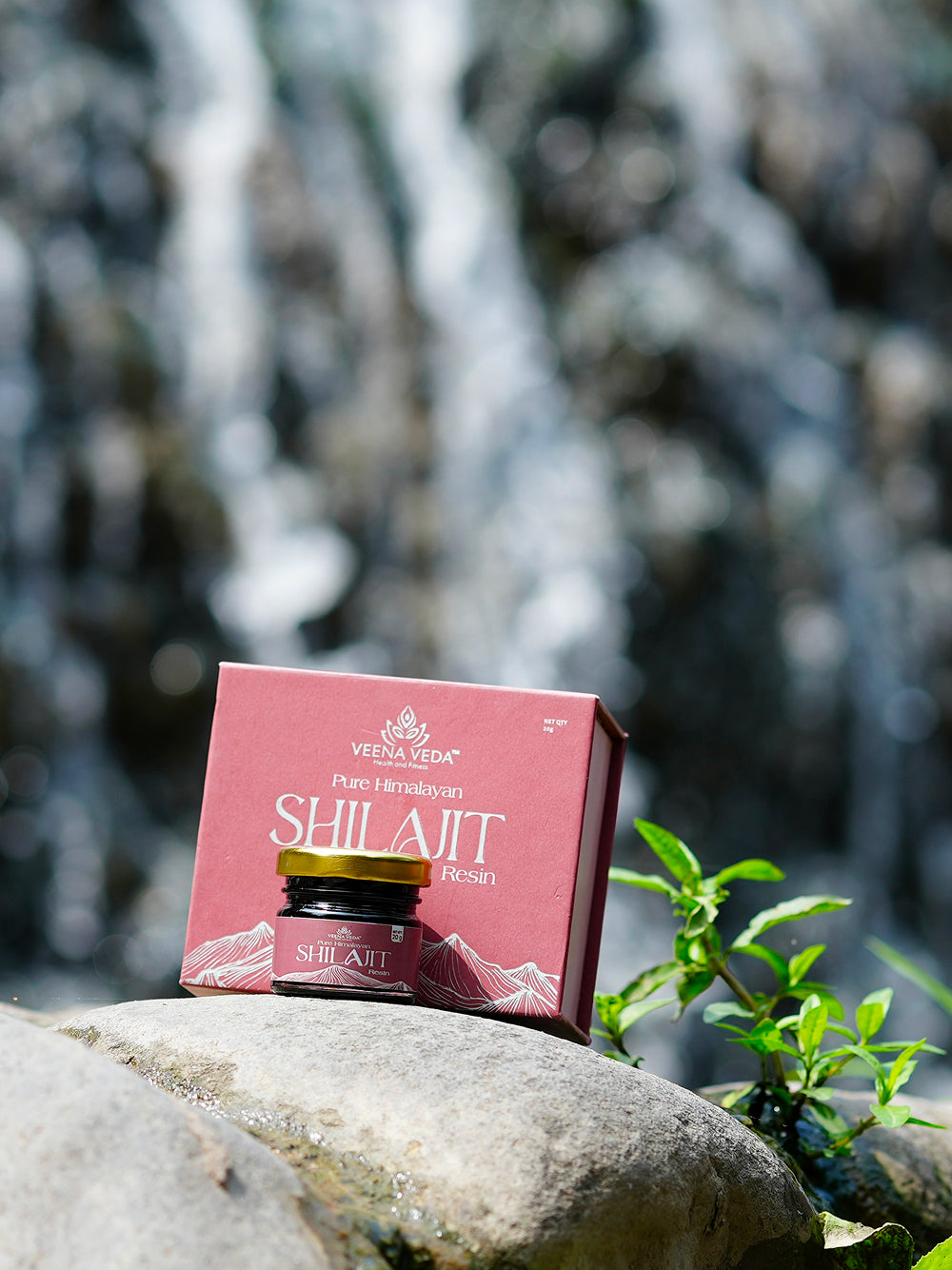 Veena Veda Pure Himalayan Shilajit Resin